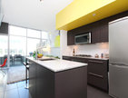 # 203 522 W 8TH AV, Vancouver - V980141