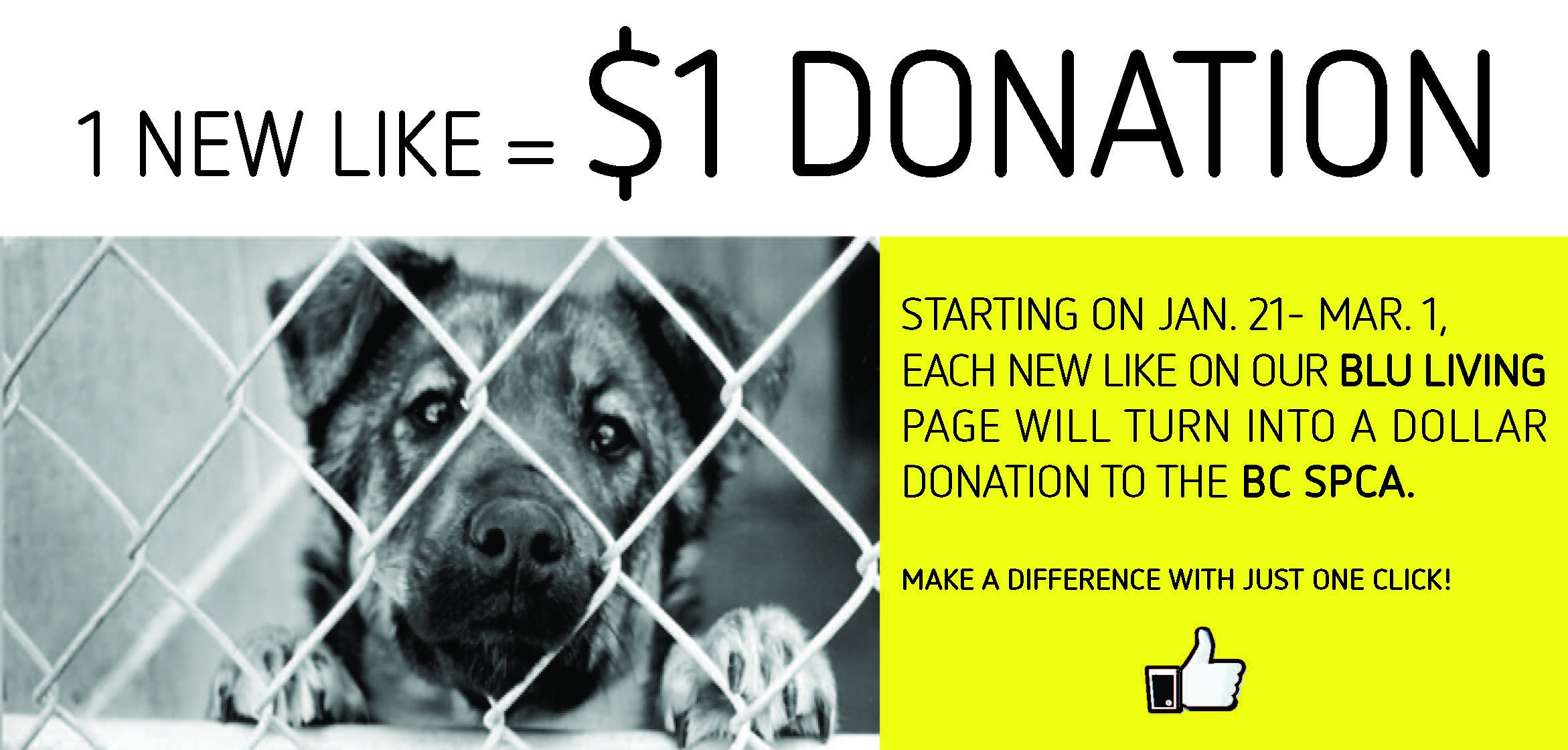 donation_highlight.jpg